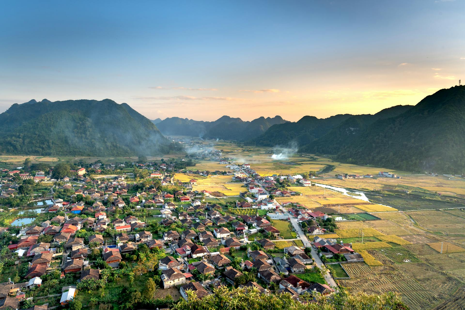 Có Thể Xây Nhà Trên Đất Trồng Cây Lâu Năm Không