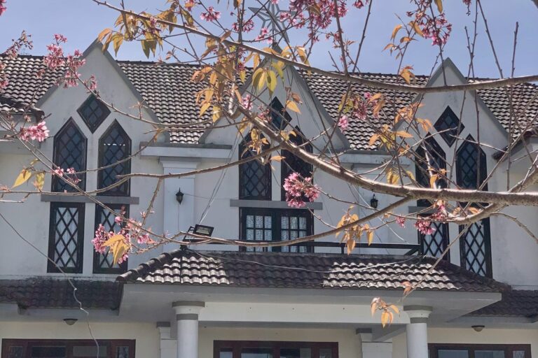 Xây Nhà Trả Góp Dễ Hay Khó? Giải Pháp Từ Chuyên Gia Dành Cho Người Muốn An Cư Sớm